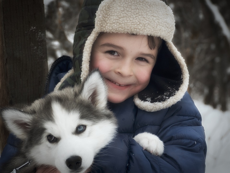 The Importance of Dog Winter Hats